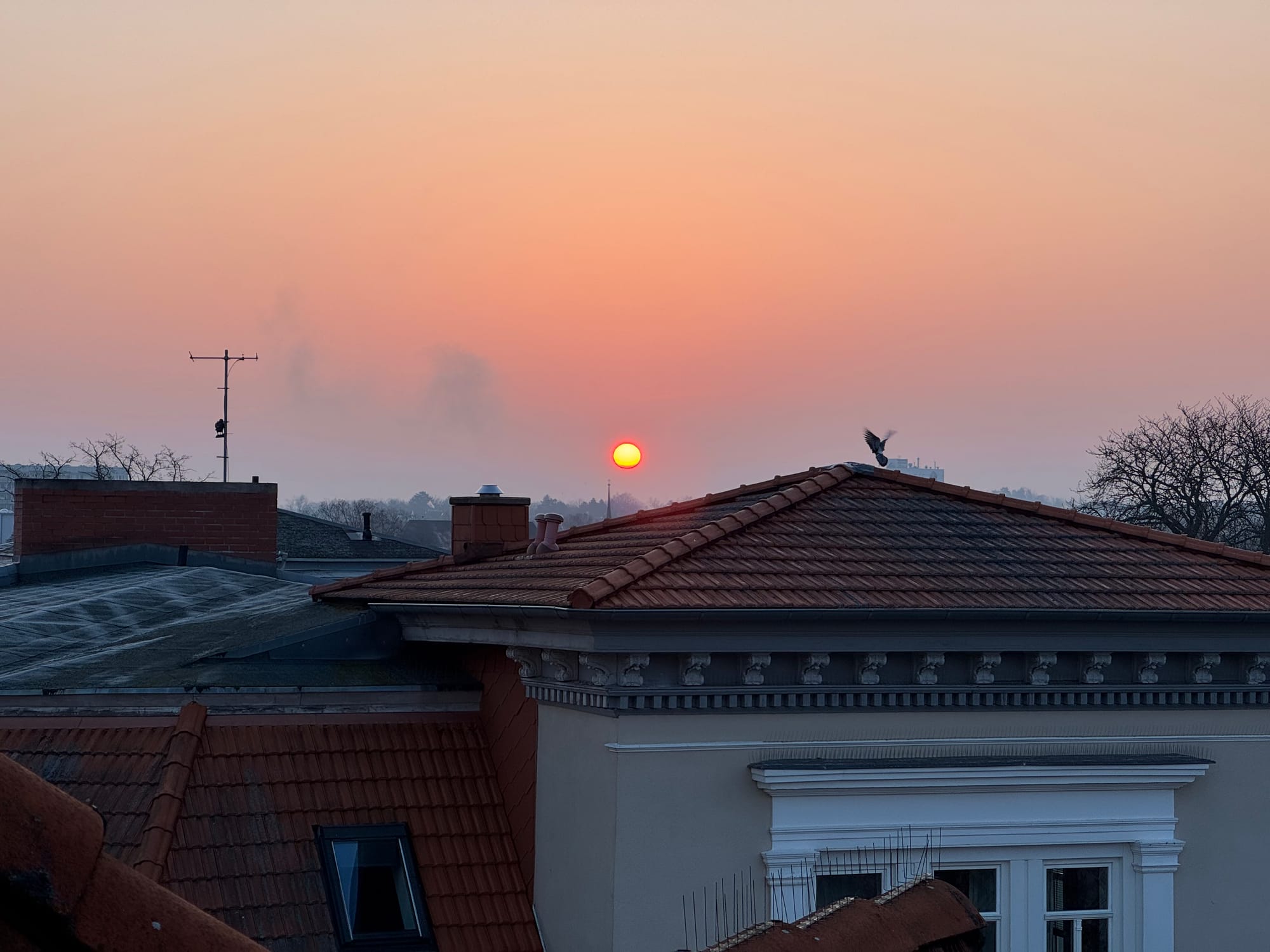 Verschiedene Bilder vom selben Motiv. Der Sonnenaufgang über der Stadt.
